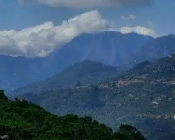Montes Cafetaleros