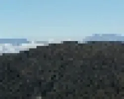 Buenavista