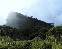 El Cerro que quiso ser Ola