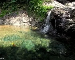 Con Deseos de un Chapuzon?