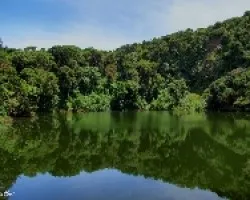 La Verde Boca de un Coloso