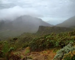 Niebla y Paramo