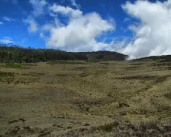 Una Gran Sabana en lo Alto
