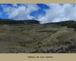 Sabana de los Leones (Panoramica)