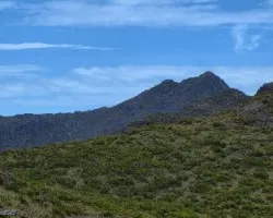 Cumbres y Paramos