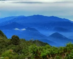 Montes Azules