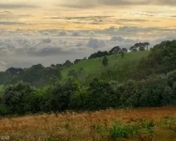Prados al Atardecer