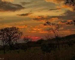 Una Tarde en el Bosque Seco