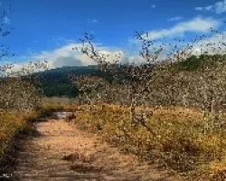 En las faldas del Rincon