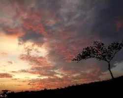 Cielo Guanacasteco