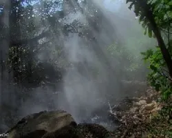 Bosque Humeante
