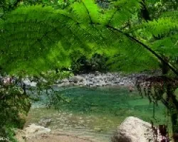 Tapanti en Verdes