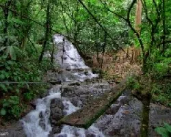 Sendero Suspendido