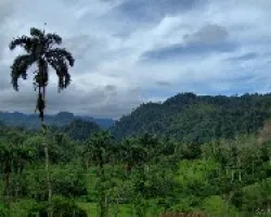 Un Rincón de Siquirres