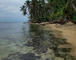 Cawi-ta