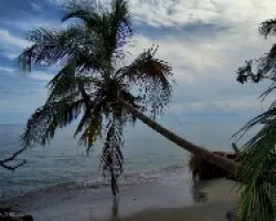 Agui-lagui