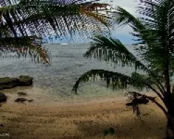 Pedacito de Caribe