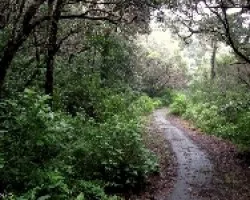 Sendero Sinuoso