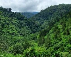 Los Montes del Naranjo