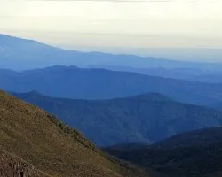 Asomándose hacia Matama