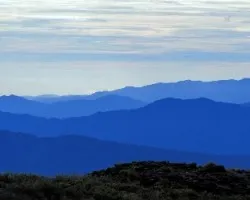 Azules de Talamanca