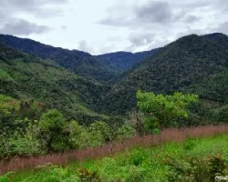 Montañas en Dota