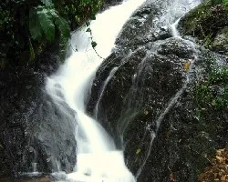 Frescura de la Montaña