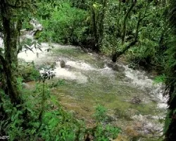 Un Rincón de Embrujo