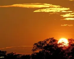 Tarde en la Pampa