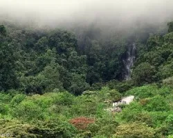Paz en La Montaña