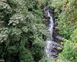 En el Río Lajas