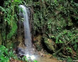 Cascada Palo Blanco