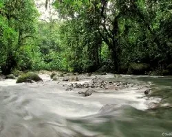 Junto al Río La Marta