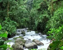 Por el Sendero Tepemechines