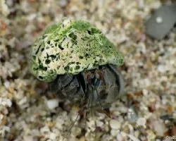 Casita Ecoamigable