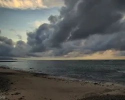 Cabuya al Amanecer