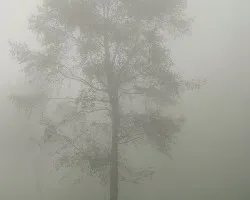 Paisaje Difuminado