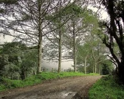De camino hacia Cabeza de Vaca
