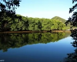 Estero Cuajiniquil