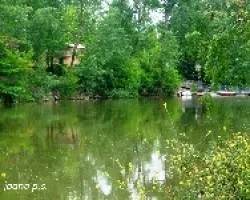 Parque de los Tres Arboles