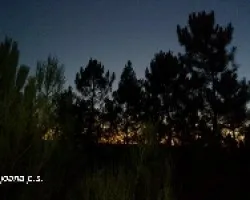 EL CAMPELO