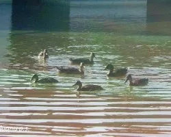 UISSSS QUE CALOR !!!