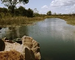 Una mas desde el Sur