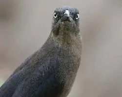 Creo que te he visto en algun lado.....