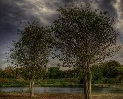 En el JardíÂ¬n