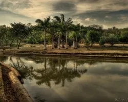 En el JardíÂ¬n II