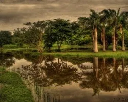 Encantos del Sur