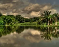 Otra míÂ s de La Laguna
