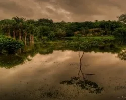 Rincones del Trópico