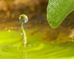 cae una gota!!!